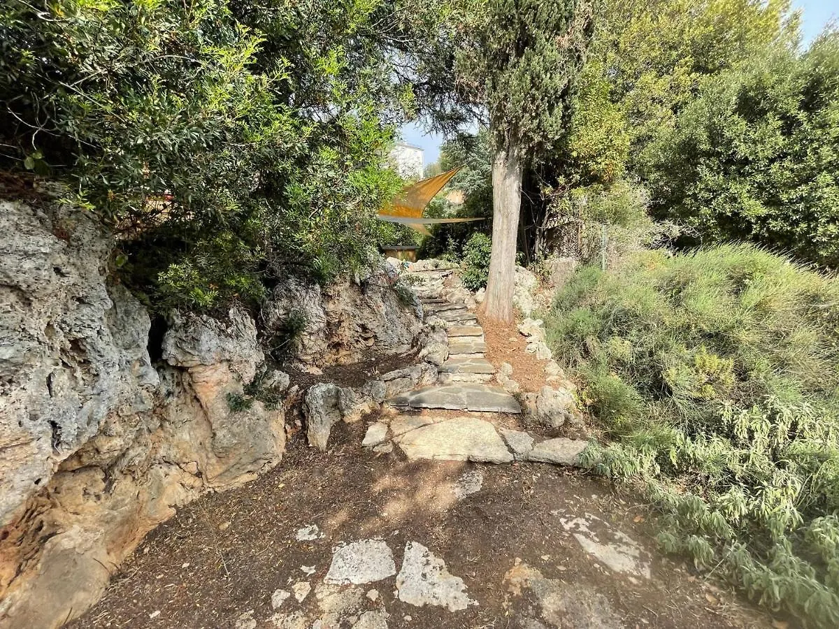 Villa Degli Ulivi Terrace Massa Marittima Apartment